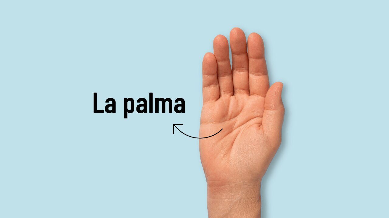 Conoce el tablero como la palma⁢ de tu mano