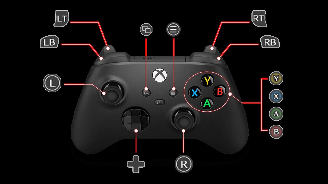 Domina los controles básicos