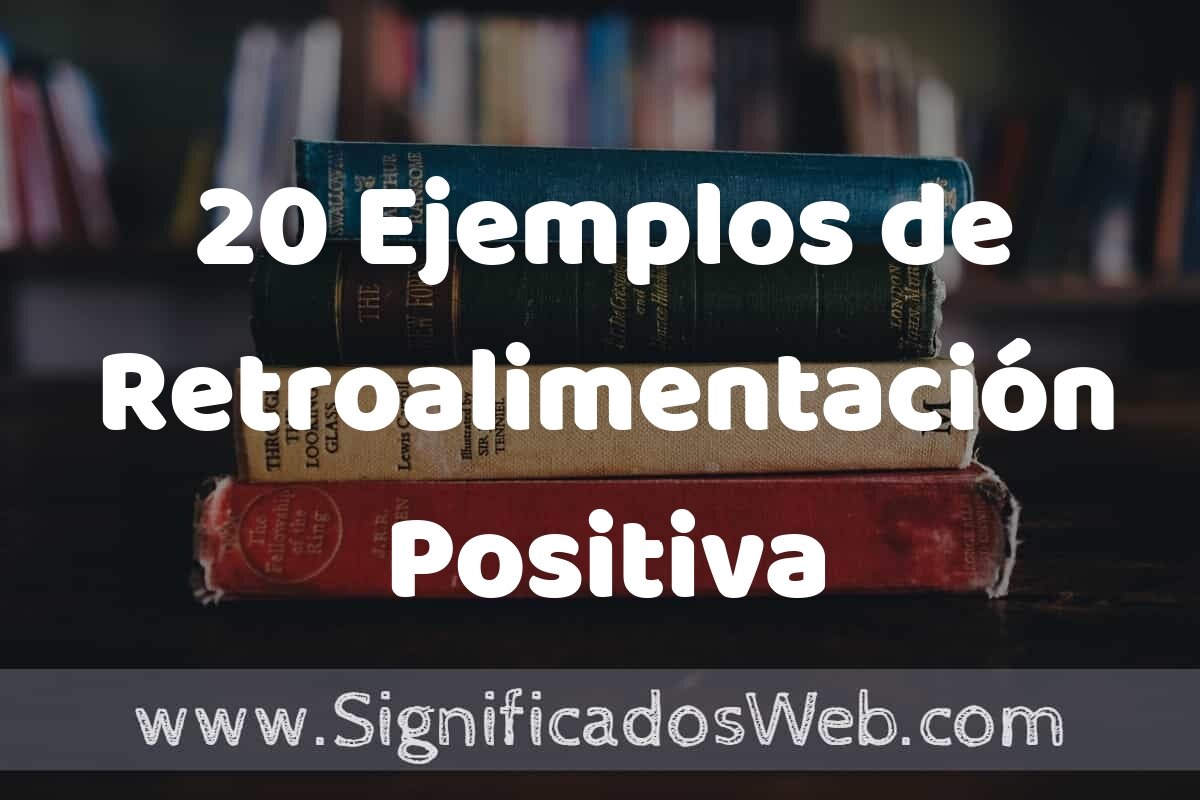 Análisis y Retroalimentación