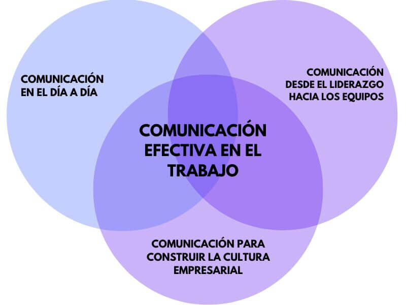 Coordinación y Comunicación: El Poder del Equipo