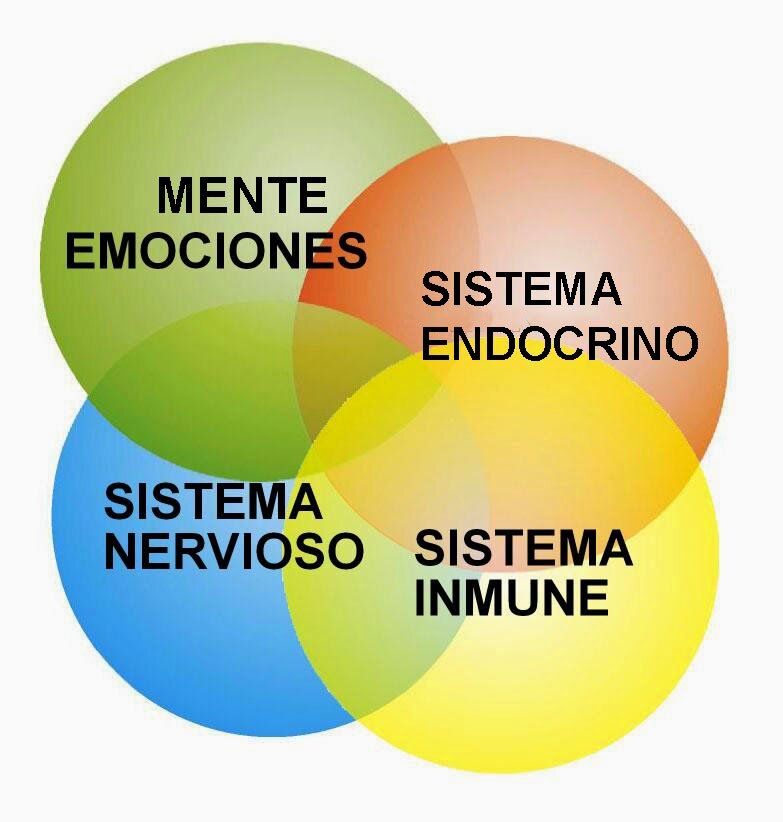 Gestión de la Mentalidad y las Emociones