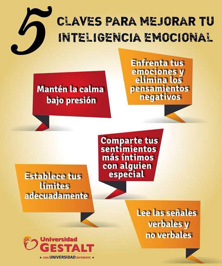 La Psicología del Combate: Mantén la Calma Bajo Presión